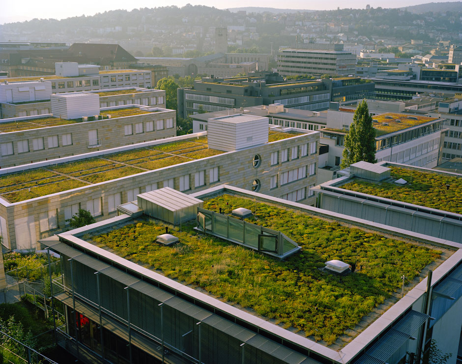 Image result for green roofs