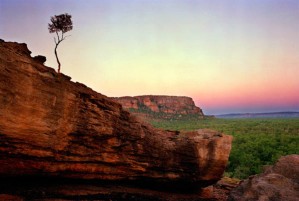 6726-6 - Nawurlandja, Kakadu National Park, Australia