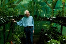 W.S. Merwin