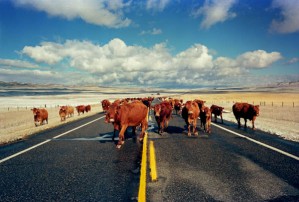6276-6 - State Highway 89, near Ringling, MT