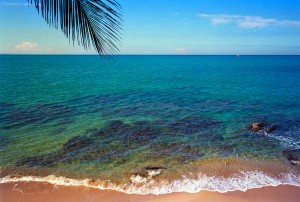 5225-3 - Beach, Horned Dorset Primavera Hotel, Rincon, Puerto Rico