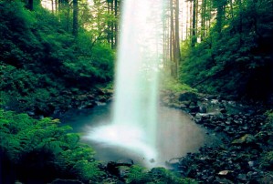 9789-3 - Pony Tail Falls, Columbia River Gorge National Scenic Area, OR