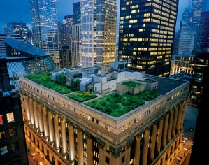 Native prairie grasses and wildflowers grow atop a green roof on the Chicago City Hall building, in downtown Chicago, IL. Chicago is the greenest city in the United States.