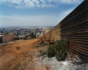 A dog on the Tijuana side of the United States-Mexico border wall faces north toward California.