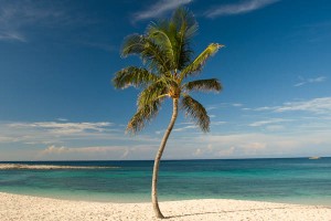 22934A-30 - Cove Beach, Atlantis, Paradise Island, Bahamas