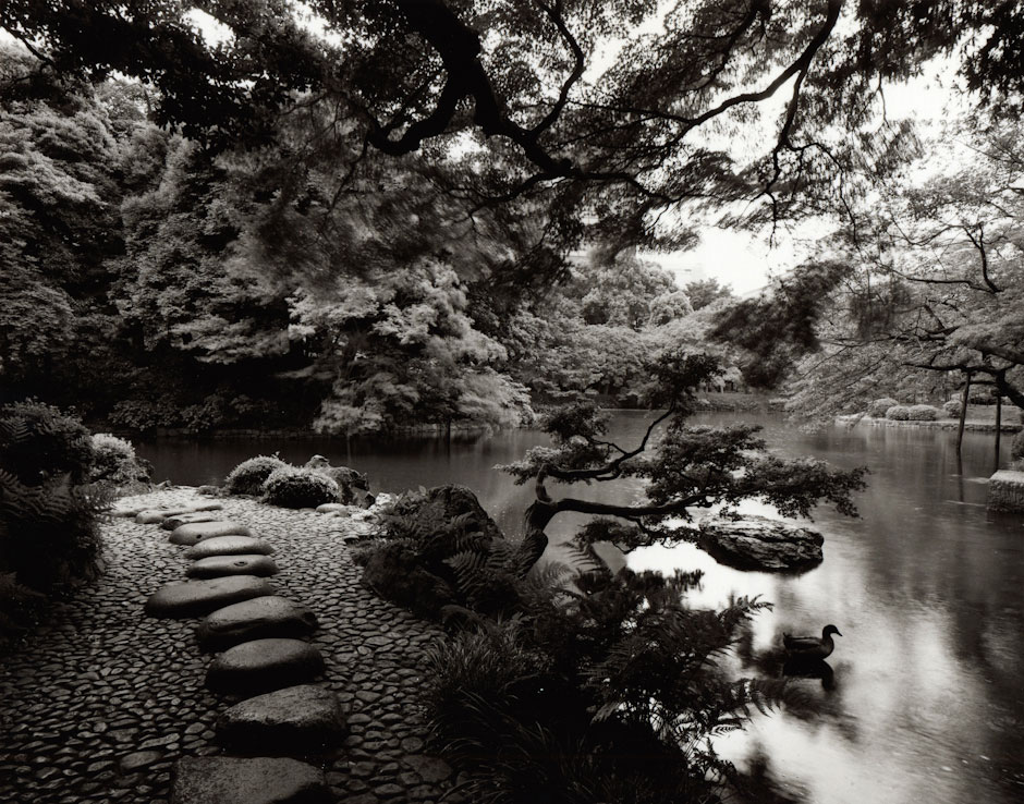 Japanese Gardens | Cook Jenshel Photography